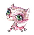 Cat, Picture Pink