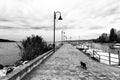 A cat on a pier on Trasimeno lake Umbria, with some docked boats and beneath an overcast sky Royalty Free Stock Photo