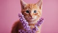 cat on pink background Portrait of red kitten with lilac bouquet on pink background