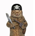 Cat pirate with gun and knife Royalty Free Stock Photo
