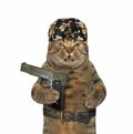 Cat in a bandana holds a gun Royalty Free Stock Photo