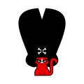 Cat pirate in hat isolated. Pet buccaneer. Grumpy Cat filibuster. vector illustration