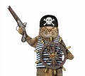 Cat pirate at helm of ship 3 Royalty Free Stock Photo