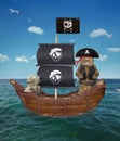 Cat pirate on the ship 2 Royalty Free Stock Photo