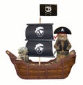 Cat pirate on the ship Royalty Free Stock Photo