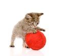 Cat playing with a ball. isolated on white backgro Royalty Free Stock Photo