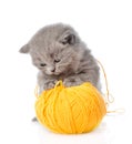 Cat playing with a ball of wool. isolated on white background Royalty Free Stock Photo