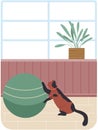 Cat playing with big green ball in living room interior. Pet, brown domestic animal plays with toy