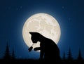 Cat plays with the mouse in the moonlight Royalty Free Stock Photo