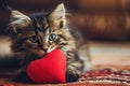 cat with plush soft red heart Lover Valentine cat with a red heart Royalty Free Stock Photo
