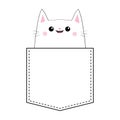 Cat in the pocket. Doodle linear sketch. Pink cheeks. Cute cartoon animals. Kitten kitty character. T-shirt design. Dash line. Pet