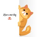 Cat pointing on copy space and smiling. nice persian red cat shoving on white place for text. vector illustration