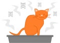 Cat poop in the litter box cartoon illustration