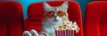 cat with pop corn at cinema, AI generated Royalty Free Stock Photo
