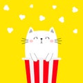 Cat in popcorn box. Kitten and movie. Pop corn popping. Cute cartoon kawaii funny character. Kids print. Cinema theater. Film show Royalty Free Stock Photo