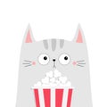 Cat popcorn box. Kitten watching movie. Cute cartoon funny character. Kids print for tshirt notebook cover. Cinema theater. Film Royalty Free Stock Photo