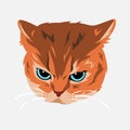 cat portrait with angry expression. flat vector illustration. Royalty Free Stock Photo