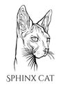 Cat portrait. Hand drawn illustration.Sphynx cat. Royalty Free Stock Photo