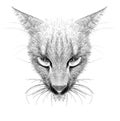 Cat portrait. Hand drawn illustration Royalty Free Stock Photo