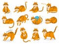 Cat Poses. Cartoon Red Fat Striped Cats Emotions And Behavior. Animal Pet Kitten Playful, Sleeping And Scared. Cat Body