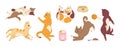 Cat poses doodle set with toys and food. Cats with accesories. Vector illustration