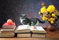 Cat posing for on books and flowers Royalty Free Stock Photo