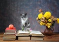 Cat posing for on books and flowers Royalty Free Stock Photo