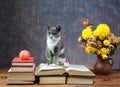 Cat posing next to flowers Royalty Free Stock Photo