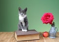 Cat posing next to flowers in a vase, books and apple Royalty Free Stock Photo