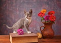 Cat posing next to flowers