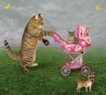 Cat with a pram and a dog Royalty Free Stock Photo