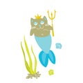 Cat princess mermaid. Funny kitty with mermaid`s tale isolated o