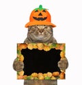 Cat with halloween blank poster