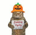 Cat in a pumpkin hat with a sign