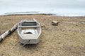 Cat in punt by frozen lake