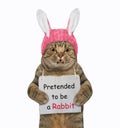 Cat in rabbit ears with funny sign