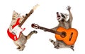 Cat and raccoon with guitars Royalty Free Stock Photo