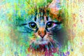 Cat in the rain color art image background color green art