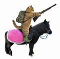 Cat with a rifle on a black horse