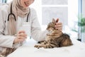 Cat recoiling from container with tablets in vet's hand