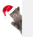 Cat in red christmas hat peeking from behind empty board and looking at camera. isolated on white background Royalty Free Stock Photo