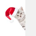 Cat in red christmas hat peeking from behind empty board and looking at camera. isolated on white background Royalty Free Stock Photo