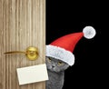 Cat in red christmas santa claus hat looking out the door entrance at home with empty card. Isolated on black Royalty Free Stock Photo