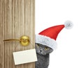 Cat in red christmas santa claus hat looking out the door entrance at home with empty card. Isolated on white Royalty Free Stock Photo