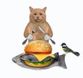 Cat reddish eats fish burger from plate Royalty Free Stock Photo