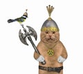 Cat reddish holds battle axe Royalty Free Stock Photo