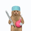 Cat reddish holds thermometer and enema Royalty Free Stock Photo