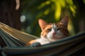 Cat relaxing in hammock at beach in summer. Generative AI Royalty Free Stock Photo