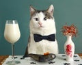 Cat in restaurant with milk and raw fish Royalty Free Stock Photo