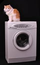 Cat resting on a washing machine Royalty Free Stock Photo